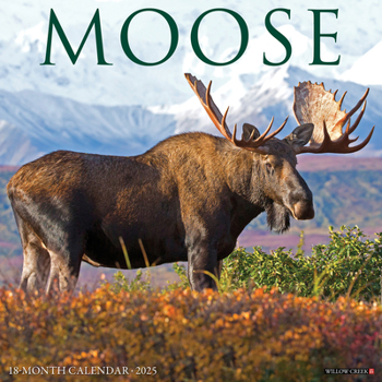 Unknown Binding Moose 2025 12 X 12 Wall Calendar Book