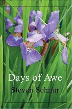 Hardcover Days of Awe Book