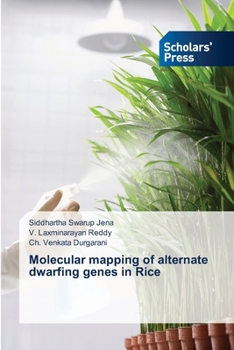 Paperback Molecular mapping of alternate dwarfing genes in Rice Book