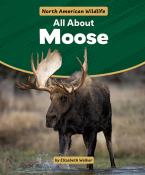 All about Moose