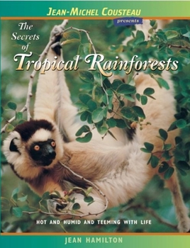 Paperback The Secrets of Tropical Rainforests: Hot and Humid and Teeming with Life Book
