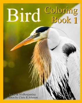 Paperback Bird Coloring Book 1 Book