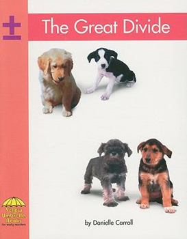 The Great Divide - Book  of the Yellow Umbrella Books: Math - Level B