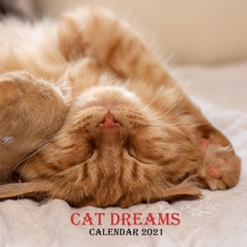 Paperback Cat Dreams: Wall And Desk Calendar 2021, Size 8.5" x 17" When Open - Must Have For Cat Lovers Book