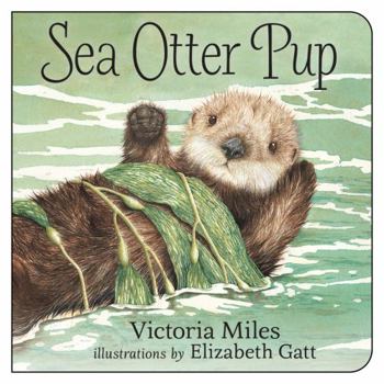 Board book Sea Otter Pup Book