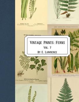 Paperback Vintage Prints: Ferns: Vol. 7 Book