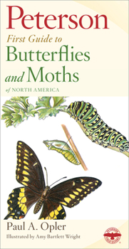 Paperback Peterson First Guide to Butterflies and Moths Book