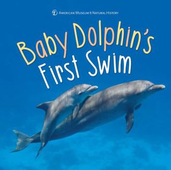 Hardcover Baby Dolphin's First Swim Book