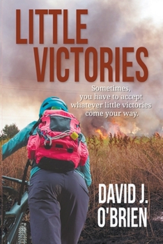 Paperback Little Victories Book