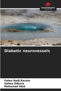 Paperback Diabetic neurovessels Book