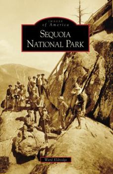 Paperback Sequoia National Park Book