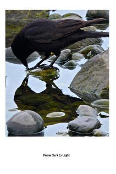 Paperback From Dark To Light: Reflections Poems and prose Book