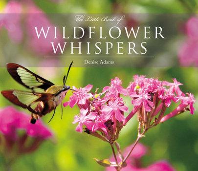 Hardcover The Little Book of Wildflower Whispers Book