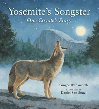 Paperback Yosemite's Songster: One Coyote's Story Book