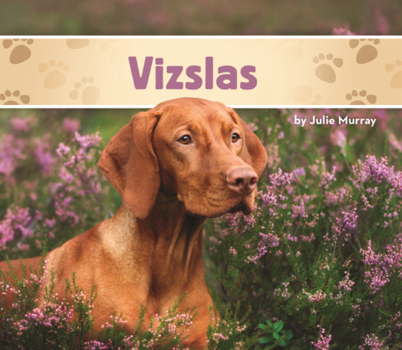 Library Binding Vizslas Book