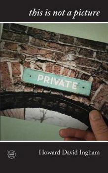 Paperback this is not a picture: eight stories Book