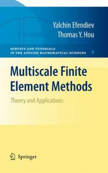 Paperback Multiscale Finite Element Methods: Theory and Applications Book