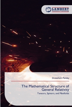 Paperback The Mathematical Structure of General Relativity Book