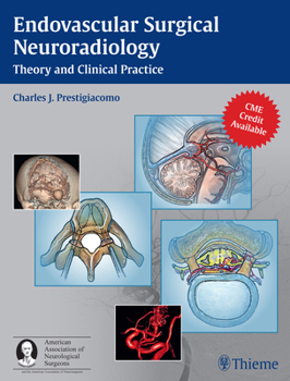 Hardcover Endovascular Surgical Neuroradiology: Theory and Clinical Practice Book