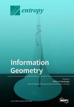 Paperback Information Geometry Book