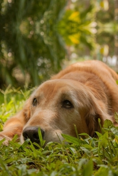 Golden Retriever Dog Pup Puppy Doggie Notebook Bullet Journal Diary Composition Book Notepad - Tired in Meadow: Cute Animal Pet Owner Composition Book ... Ruled Lined Paper Pages in 6” x 9” Inch