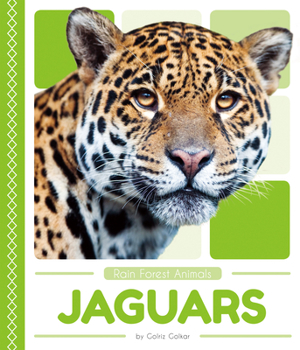 Jaguars - Book  of the Rain Forest Animals