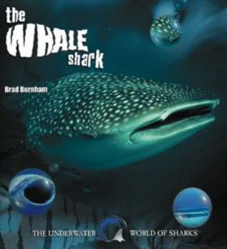 Library Binding The Whale Shark Book