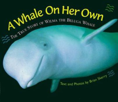 Hardcover A Whale on Her Own: The True Story of Wilma the Beluga Whale Book