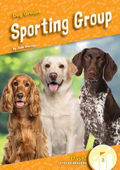 Library Binding Sporting Group Book