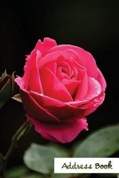 Address Book.: (Flower Edition Vol. E47) Pink Rose Design Glossy And Soft Cover, Large Print, Font, 6" x 9" For Contacts, Addresses,