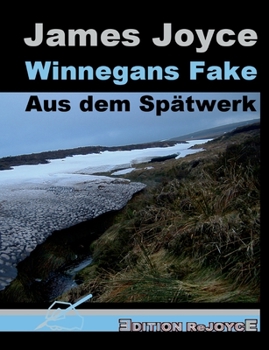 Paperback Winnegans Fake: Aus dem Spätwerk [German] Book