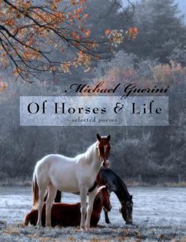 Paperback Of Horses & Life Book