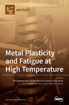 Hardcover Metal Plasticity and Fatigue at High Temperature Book