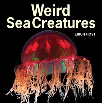 Paperback Weird Sea Creatures Book