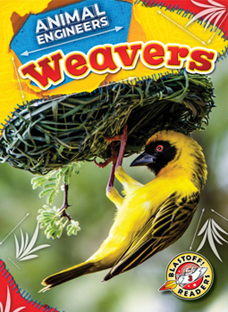 Library Binding Weavers Book