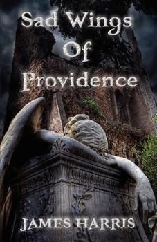 Paperback Sad Wings of Providence Book