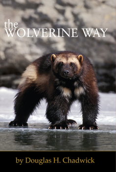 Paperback The Wolverine Way Book