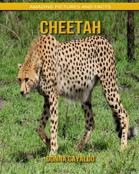 Paperback Cheetah: Amazing Pictures and Facts Book
