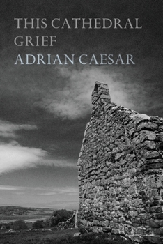 Paperback This Cathedral Grief Book