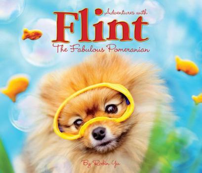 Hardcover Flint the Fabulous Pomeranian Book