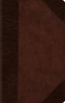 Imitation Leather Large Print Compact Bible-ESV-Portfolio Design [Large Print] Book
