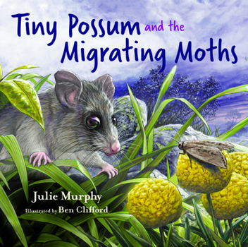 Hardcover Tiny Possum and the Migrating Moths Book