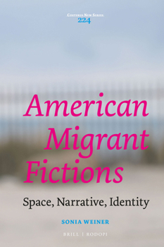 Hardcover American Migrant Fictions: Space, Narrative, Identity Book
