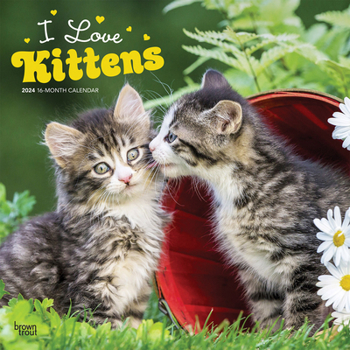 Calendar Kittens, I Love 2024 Square Book