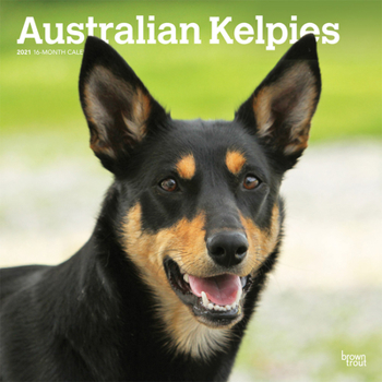 Calendar Australian Kelpies 2021 Square Btau Book
