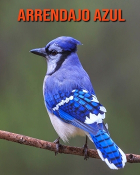 Paperback Arrendajo azul: Libro para ni?os con im?genes asombrosas y datos curiosos sobre los Arrendajo azul [Spanish] Book