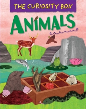 Paperback The Curiosity Box: Animals Book