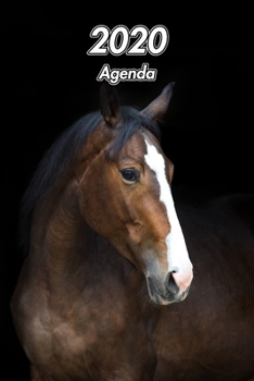2020 Agenda: Pur Sang Anglais | Équitation Cheval | 129 Pages | 12 Mois | Format A5 | Journalier | Planificateur | Semainier Simple | Calendrier | Organizer (French Edition)