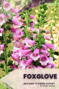 Paperback Foxglove: Become flower expert Book