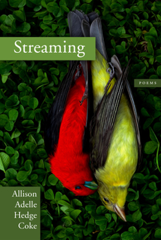 Paperback Streaming Book